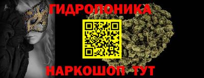 стаф Лесосибирск