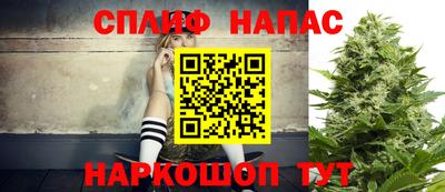 стаф Лесосибирск