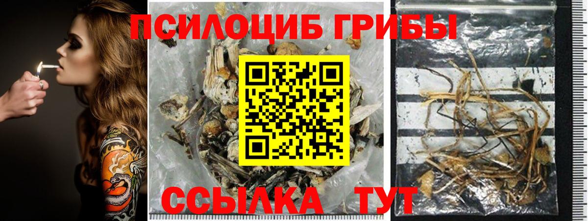 Галлюциногенные грибы Magic Shrooms Ступино