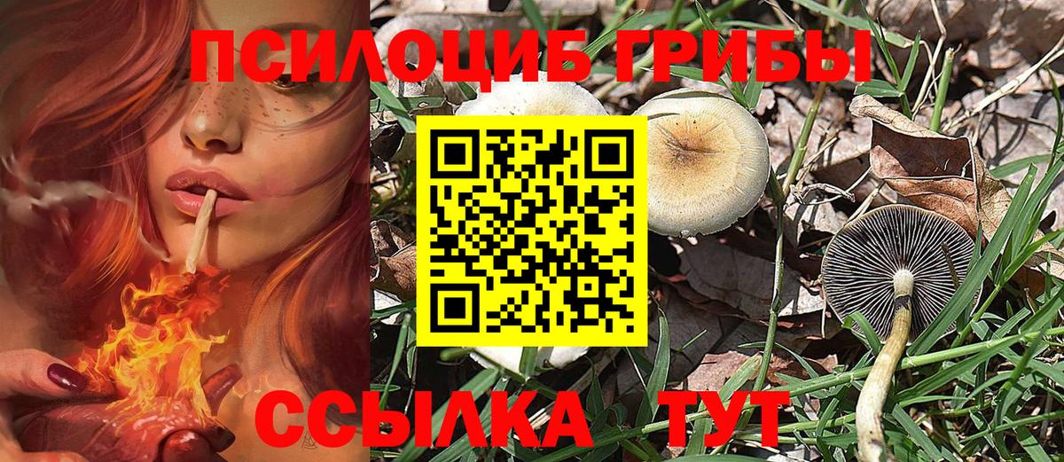 как найти   Псилоцибиновые грибы мухоморы  Вход с VPN  Ступино 